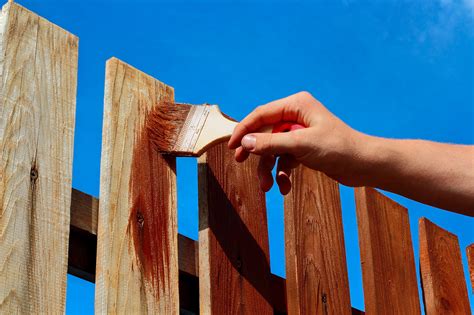 How to Paint Wood Fence: A Brush with Creativity and Chaos